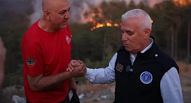 Bursa’da orman yangınlarında son durum... 9 mahalle boşaltıldı, hayvan barınağı yandı!