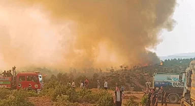 Bursa Harmancık’taki Çakmak köyü korundu!
