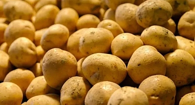 Haziranda en çok ucuzlayan ürün patates