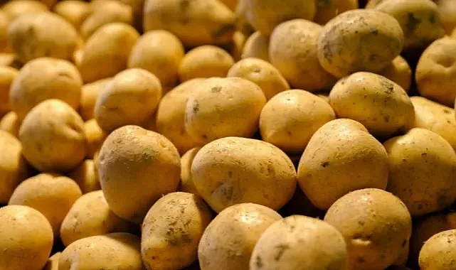 Haziranda en çok ucuzlayan ürün patates