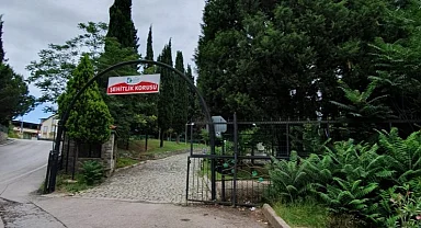 İzmit Şehitlik Korusu’nda mangal yasaklandı