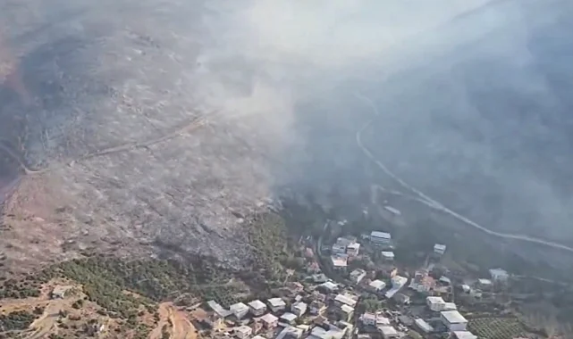 TMMOB Bursa: Orman yangınlarındaki zafiyet kabul edilemez