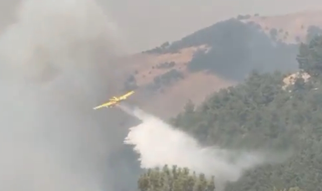 Yangınlardan etkilenen 13 ilde 407 konut ağır hasarlı: 128 milyon TL'lik destek gönderildi