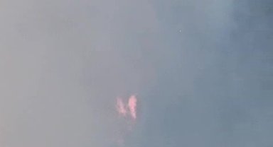 Bartın'da orman yangını başladı, müdahale sürüyor