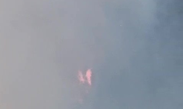 Bartın'da orman yangını başladı, müdahale sürüyor