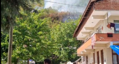 Bartın'ın Ulus ilçesinde orman yangını
