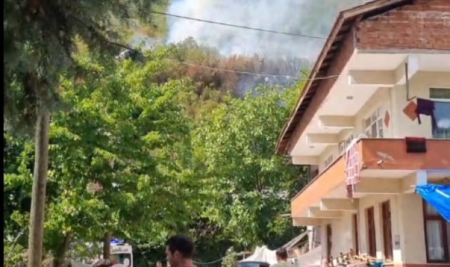 Bartın'ın Ulus ilçesinde orman yangını