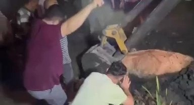 Çaycuma'da kayıp inek bataklıktan sağ kurtarıldı