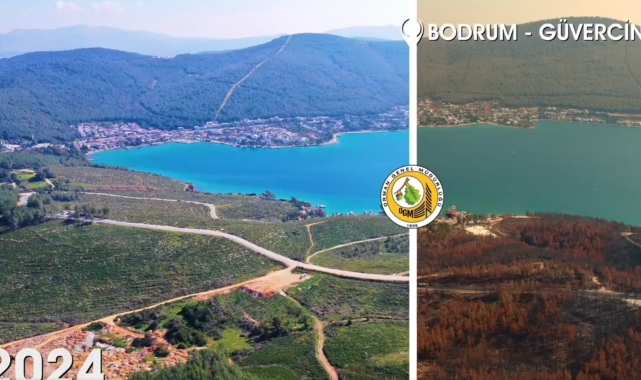 Orman Genel Müdürlüğü, "Yanan alanlar otellere tahsis edilmedi"