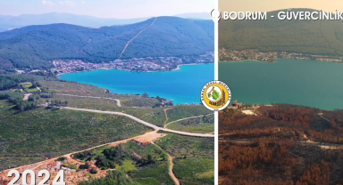 Orman Genel Müdürlüğü, "Yanan alanlar otellere tahsis edilmedi"