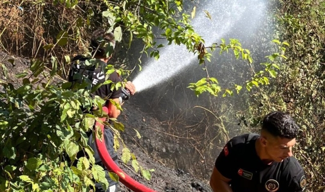 Zonguldak'ta anız yangını korkuttu
