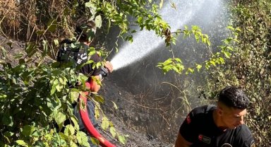 Zonguldak'ta anız yangını korkuttu