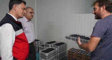 Zonguldak ve Bartın tarım müdürlerinden yaban mersini bahçesine ziyaret