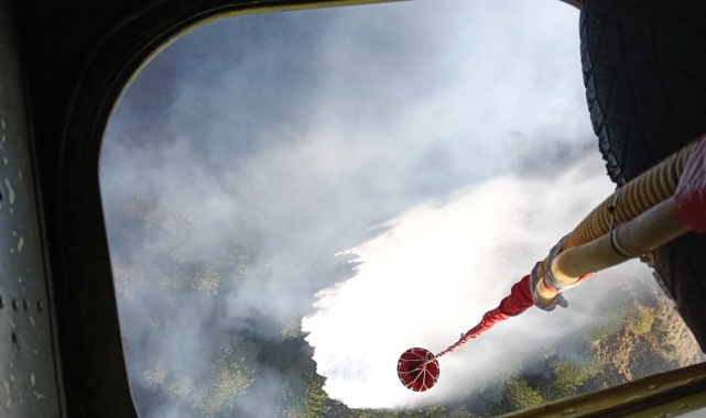 Karabük'te orman yangını çıktı