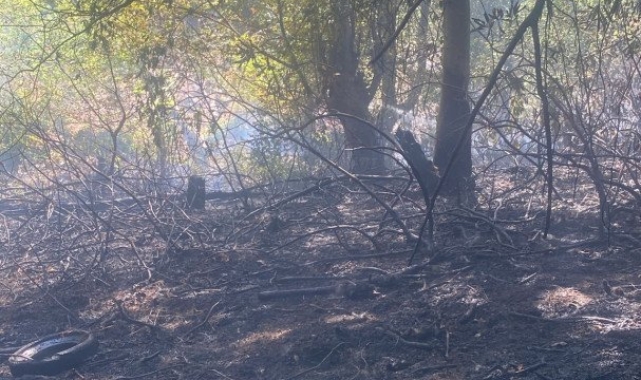 Zonguldak'ta ormanlık alanda çıkan yangın söndürüldü