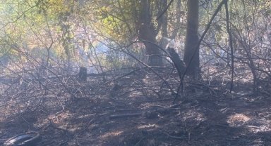 Zonguldak'ta ormanlık alanda çıkan yangın söndürüldü