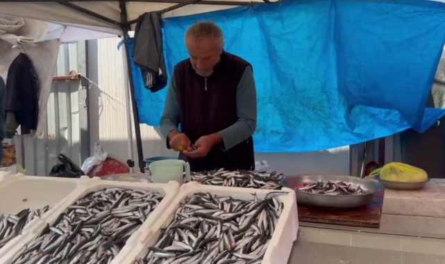 Zonguldak'ta hamsi 100 liraya düştü, tezgahlar doldu taştı