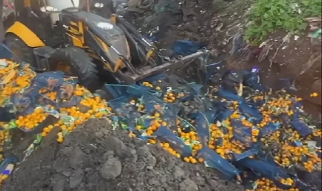 Artvin Sarp Sınır Kapısı'nda 6,1 ton mandalina imha edildi!