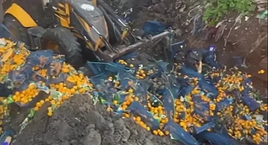 Artvin Sarp Sınır Kapısı'nda 6,1 ton mandalina imha edildi!