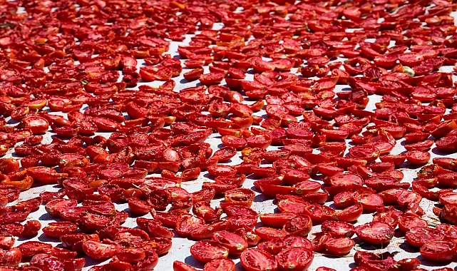 Şifa deposu kuru domates ihracatta dünya ikincisi