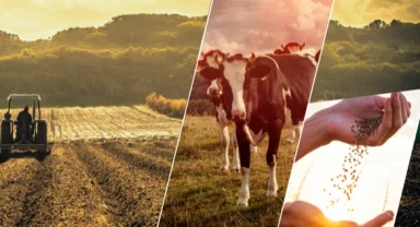 Çiftçiye 1,1 milyar TL'lik destek ödemesi başladı