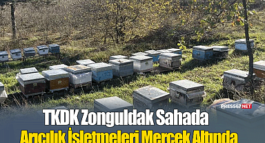 TKDK Zonguldak Sahada: Ereğli'deki Arıcılık İşletmeleri Mercek Altında