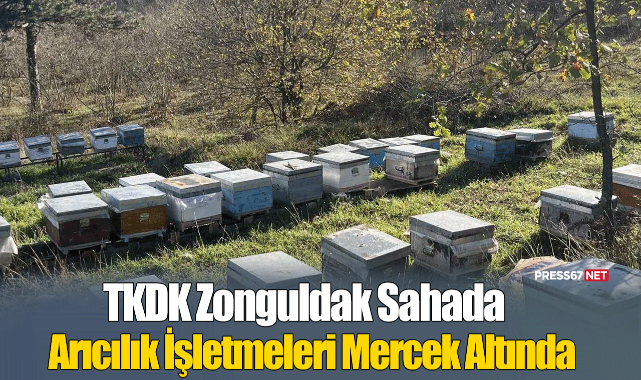 TKDK Zonguldak Sahada: Ereğli'deki Arıcılık İşletmeleri Mercek Altında