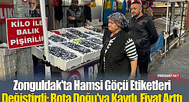 Zonguldak'ta Hamsi Göçü Etiketleri Değiştirdi: Rota Doğu'ya Kaydı, Fiyat Arttı