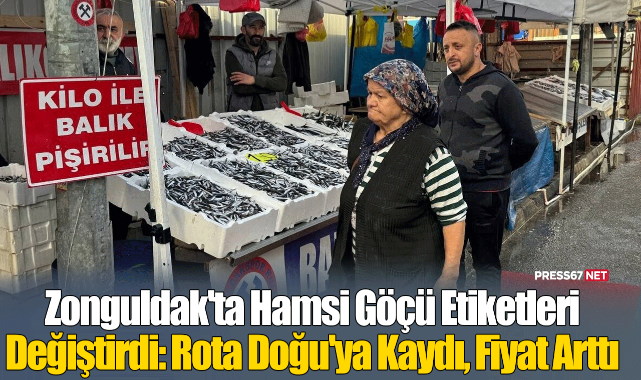 Zonguldak'ta Hamsi Göçü Etiketleri Değiştirdi: Rota Doğu'ya Kaydı, Fiyat Arttı