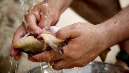 Balık esnafı uyardı; Tazelik gözünden anlaşılmaz