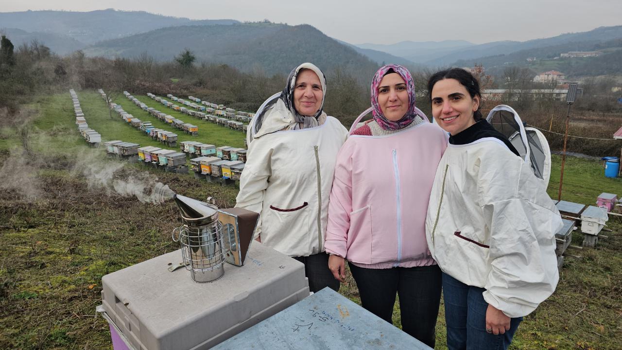 Zonguldak Ormanlarında "Ana Kraliçe" ve Kızları: Dededen Toruna Uzanan Tatlı Miras