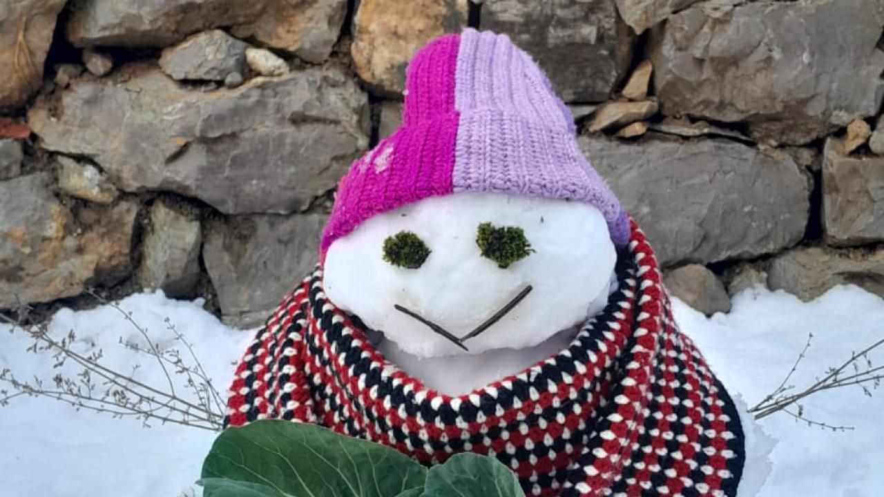 Zonguldak Usulü Kış Sanatı: Kardan Adam Gitti, "Mancar Adam" Geldi!