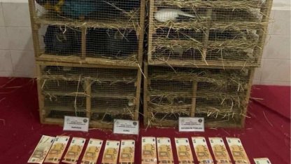 2025'te kaçak canlı hayvan ticareti darbe yedi... 85 bin 342 hayvan ele geçirildi