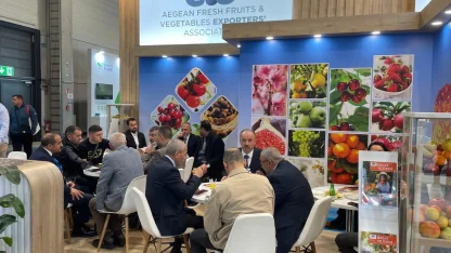 Yaş meyve sebze sektöründen Almanya’ya çıkarma