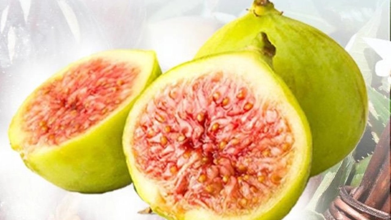 Balıkesir Büyükşehir'den incir fidanı desteği