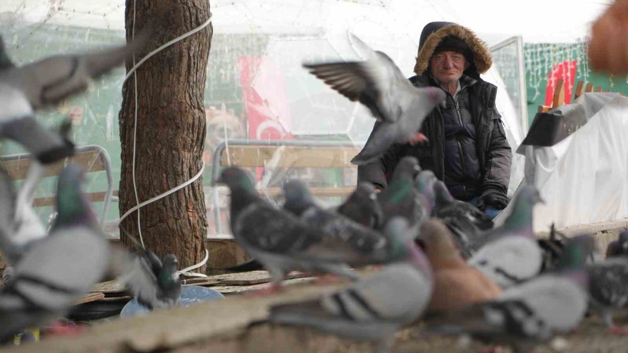 "Çocukların Kuşçu Dedesi" kuşlar için meydanı terk etmiyor