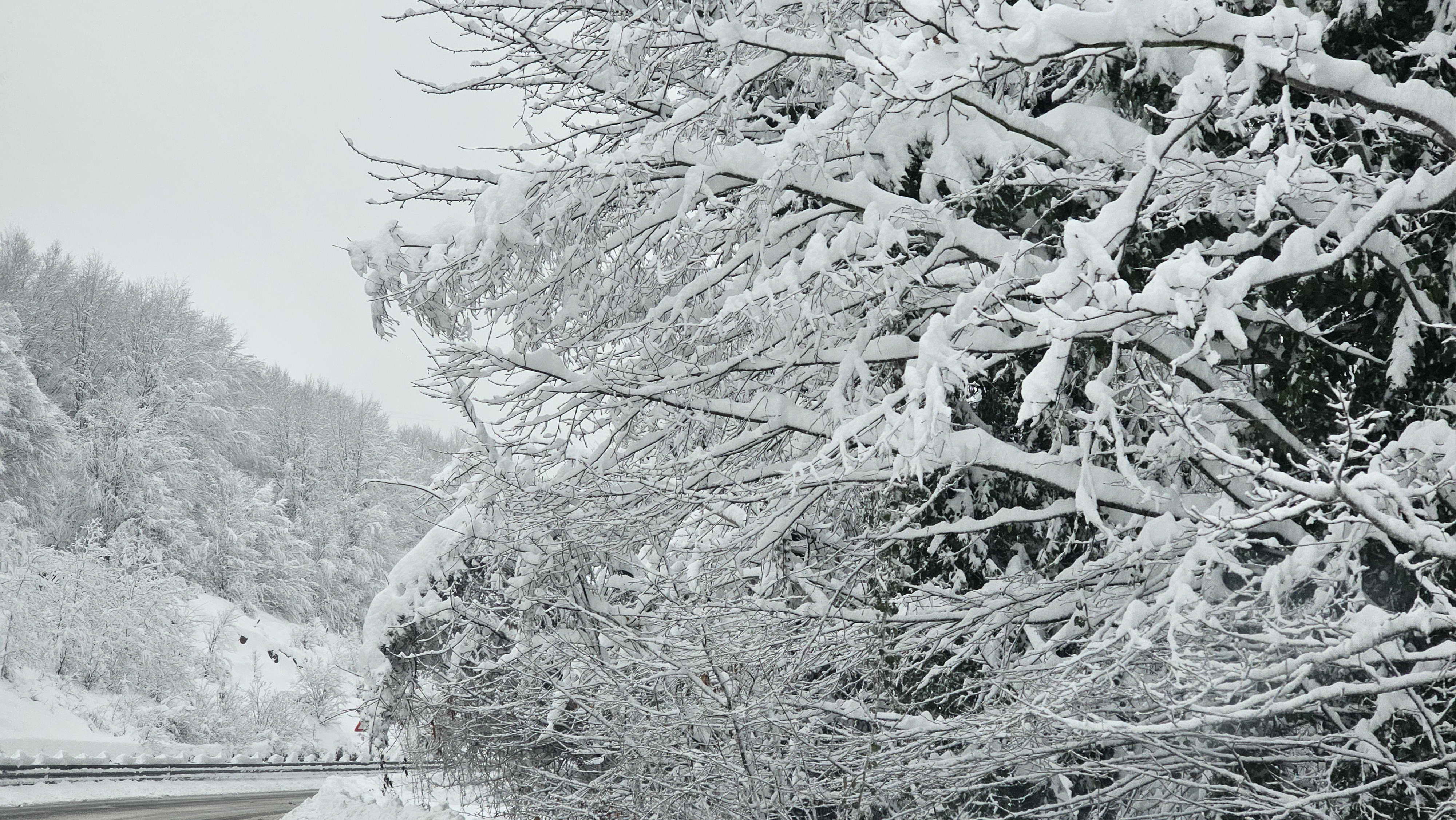 Zonguldak'ta karın iki yüzü: Güzellik ve zorluk bir arada 9