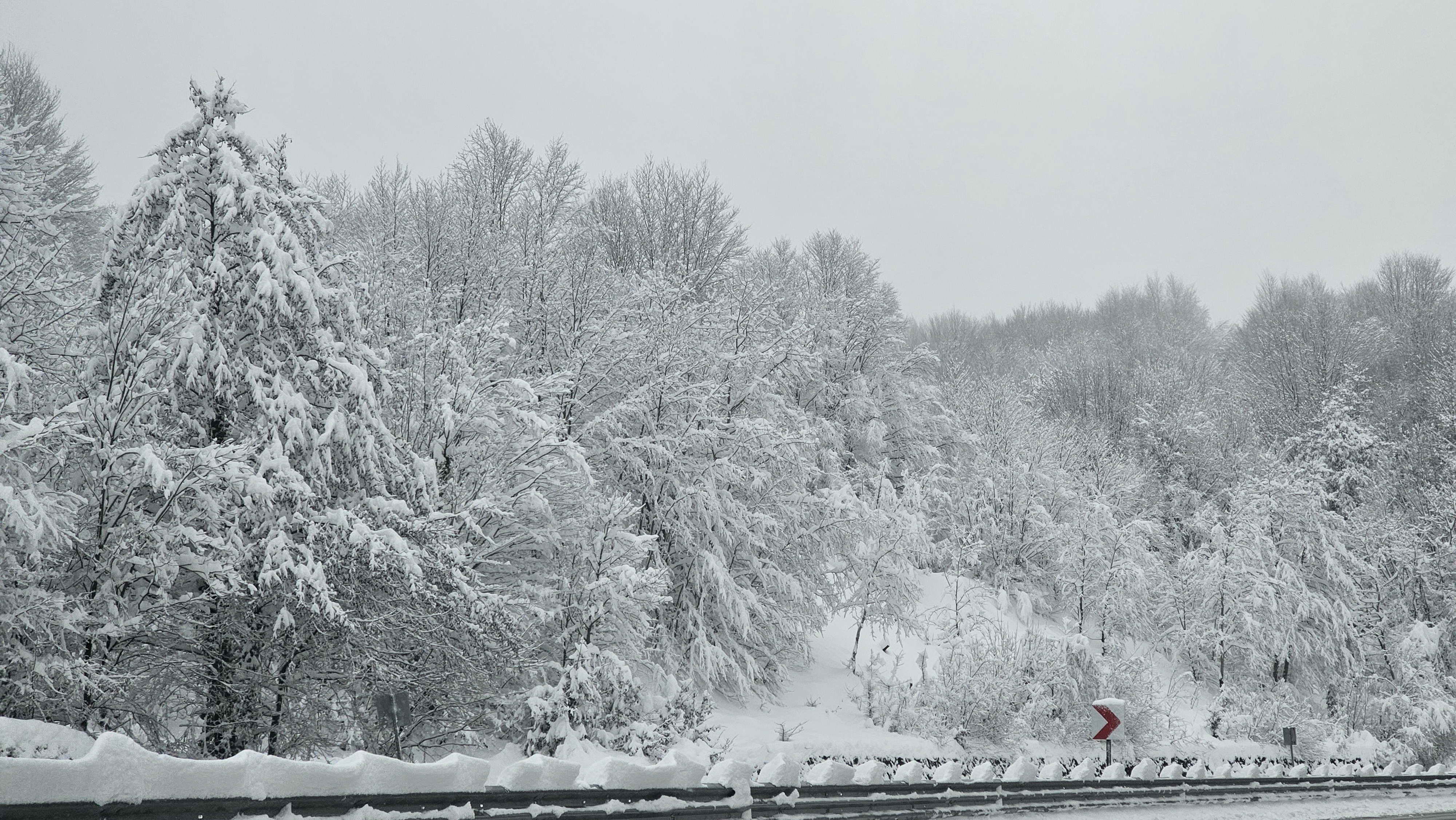 Zonguldak'ta karın iki yüzü: Güzellik ve zorluk bir arada 10