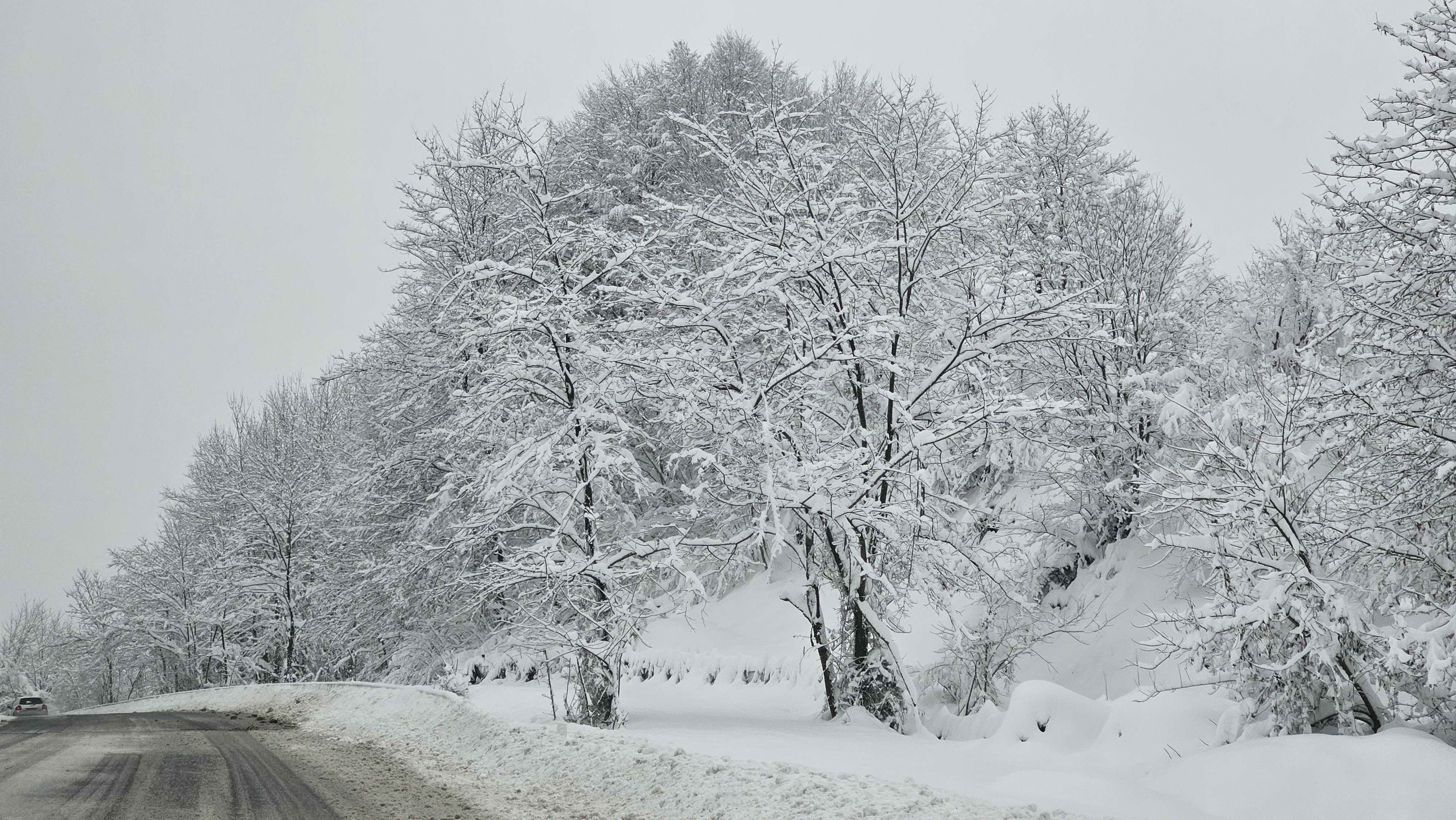 Zonguldak'ta karın iki yüzü: Güzellik ve zorluk bir arada 6