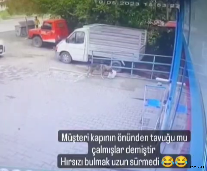 Hırsızlık sonrası güvenlik kameralarını inceleyince şaşırıp kaldılar! 1
