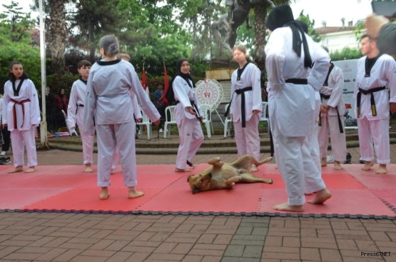 Çaycuma 19 Mayıs Atatürk’ü Anma, Gençlik ve Spor Bayramı’nı kutladı 7