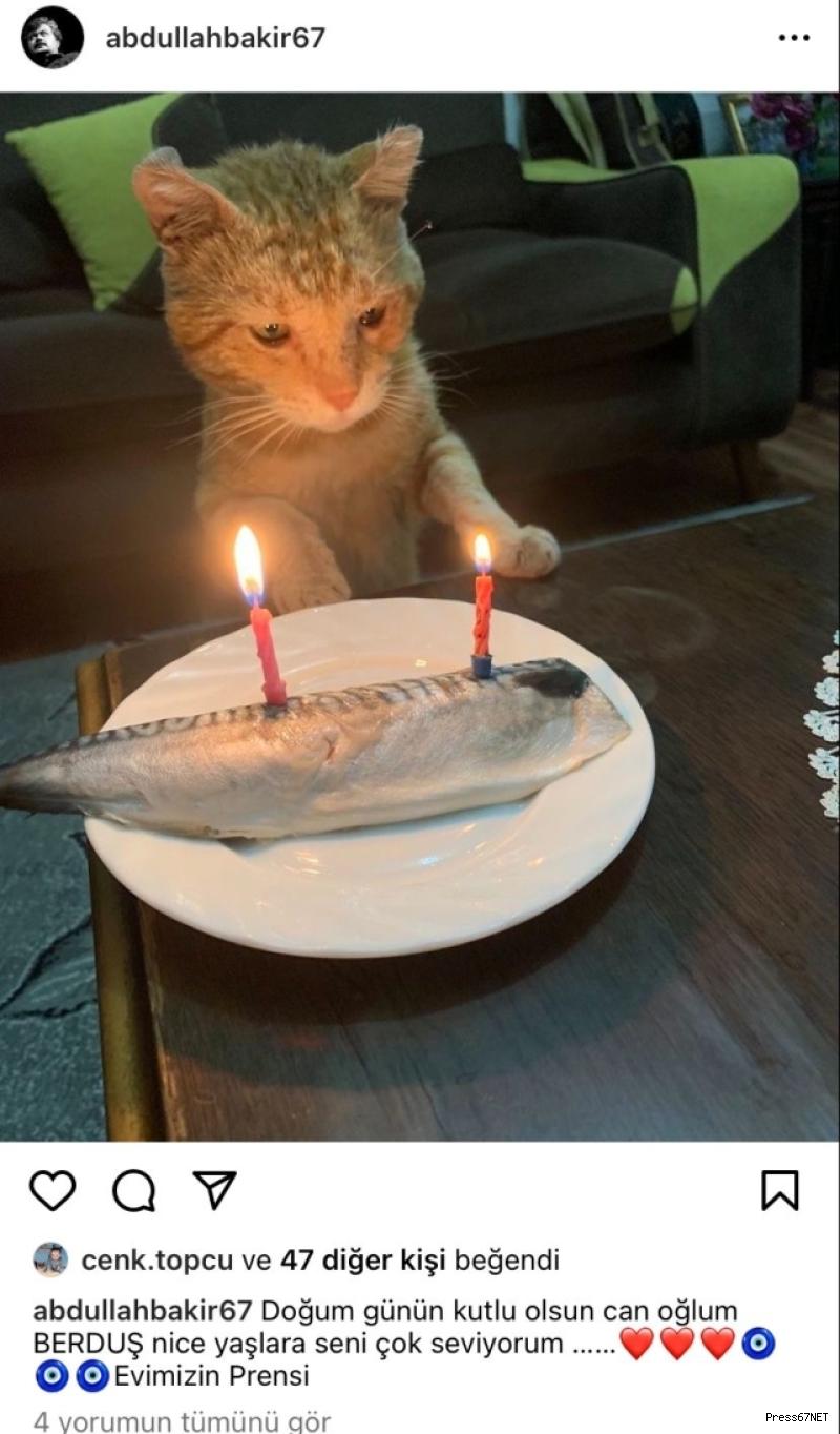 Kedisine balıklı doğum günü sürprizi yaptı! 1