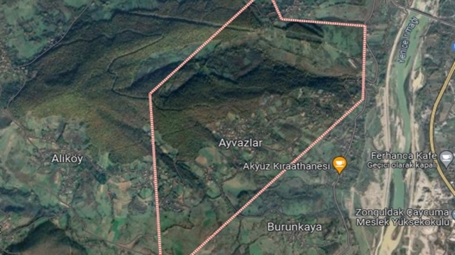 Belediye'ye katılmak için referanduma gidiyor! 1