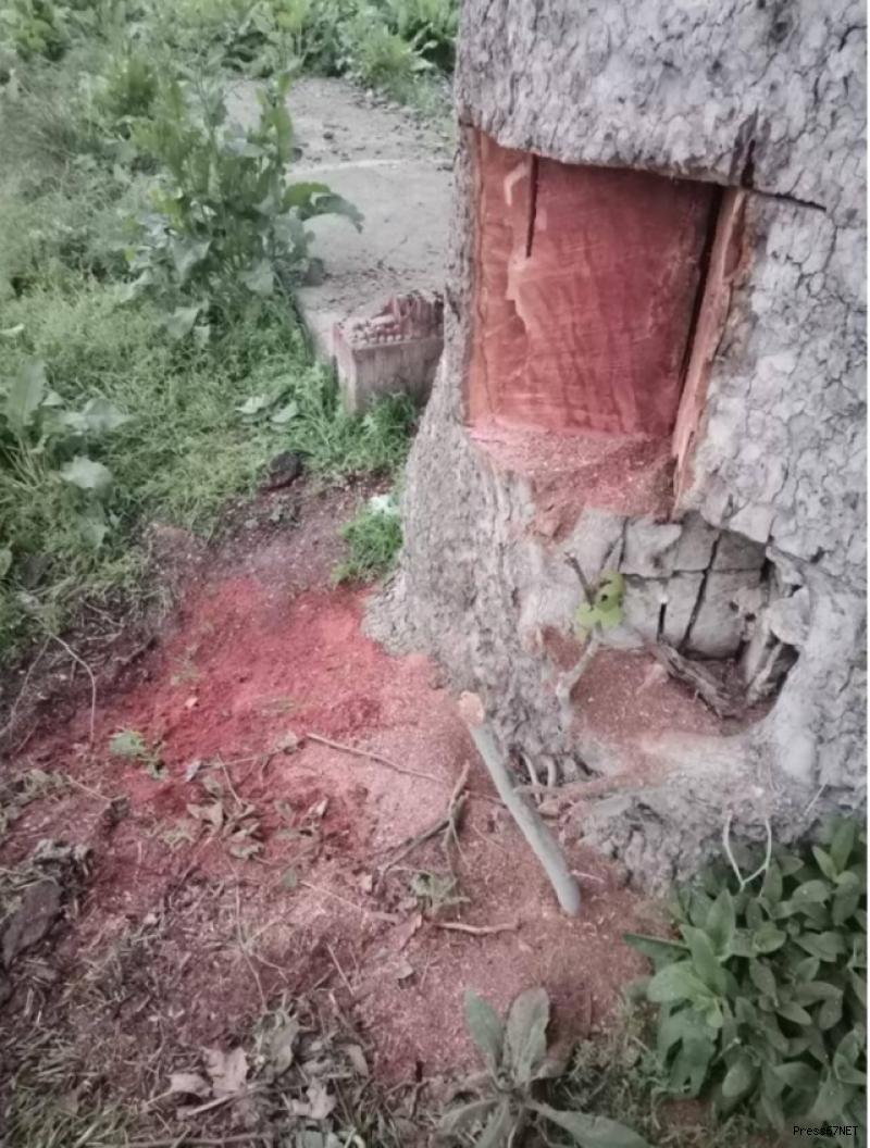 Jandarmadan tarihi operasyon! 9 ilde 20 kişi gözaltına alındı 3