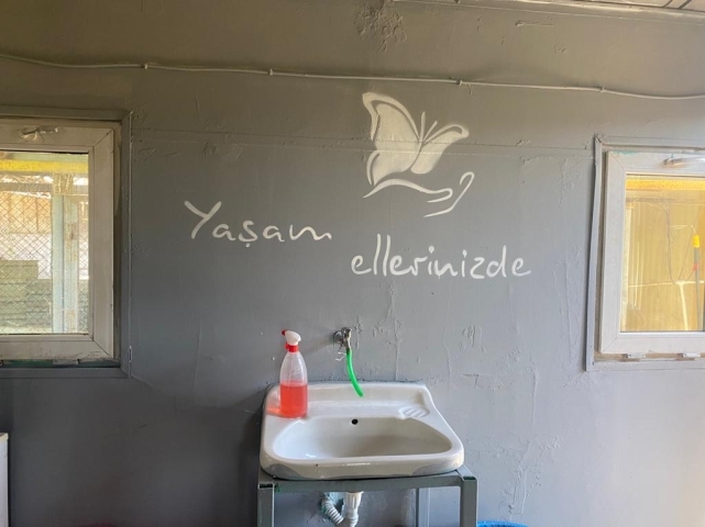 Her şey sokak hayvanları için.. 4