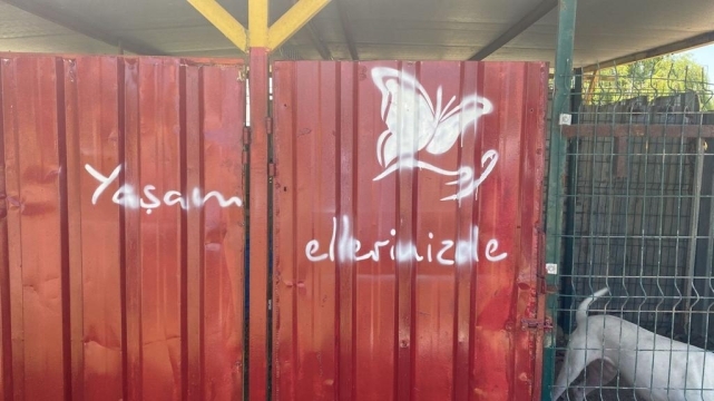 Her şey sokak hayvanları için.. 5