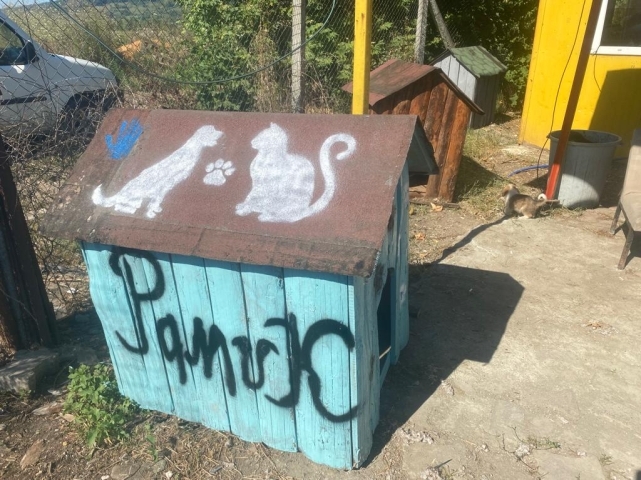 Her şey sokak hayvanları için.. 3