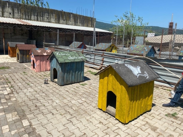 Her şey sokak hayvanları için.. 2