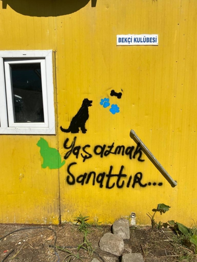 Her şey sokak hayvanları için.. 6