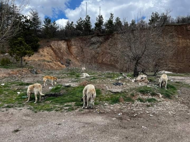 VEFAKUT, HAYTAP ailesine katıldı   3
